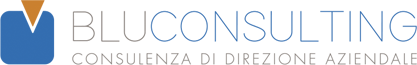 BLUCONSULTING logo